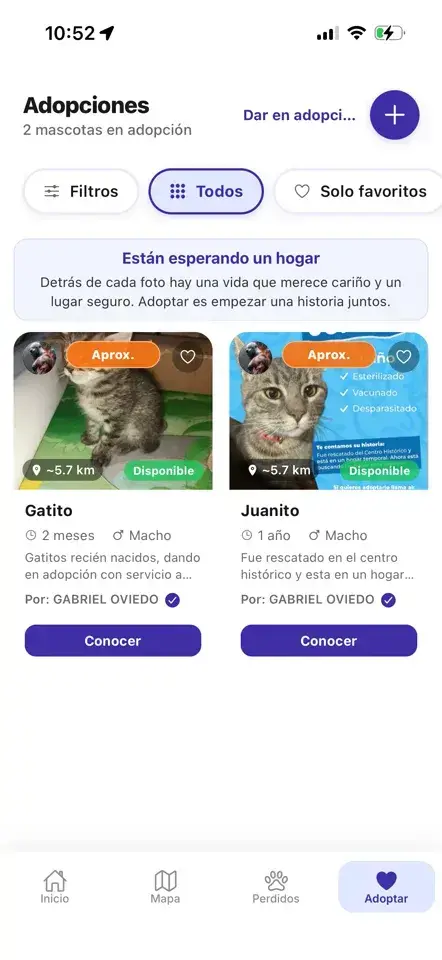 Pantalla Adopciones de Dr. Paw