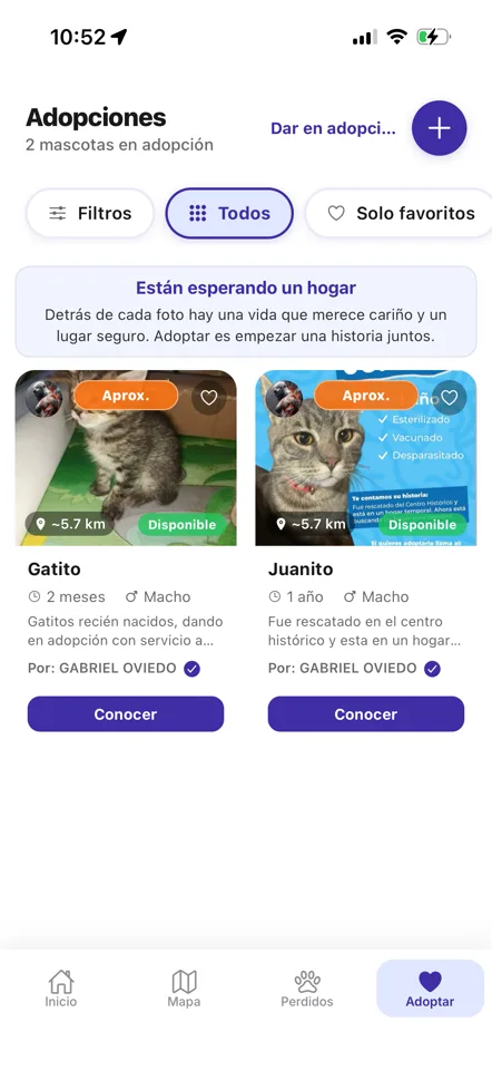 App Dr. Paw: adopciones de mascotas disponibles de la comunidad